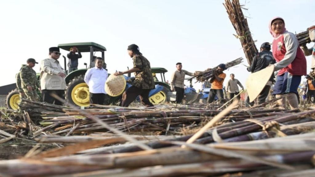 Petani Akui Produktivitas Meningkat, Akses Pupuk Lebih Mudah Berkat Pembenahan Sektor Pertanian