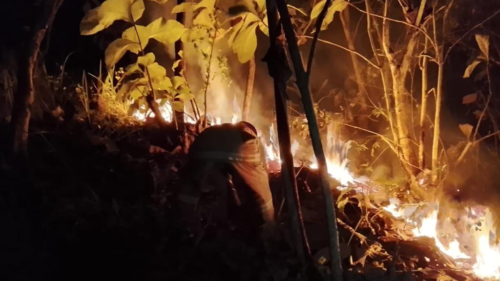 Kebakaran Lahan Dekat TPA Banjaranyar, Damkar Ciamis Berjibaku Cegah Api Meluas