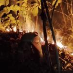Kebakaran Lahan Dekat TPA Banjaranyar, Damkar Ciamis Berjibaku Cegah Api Meluas