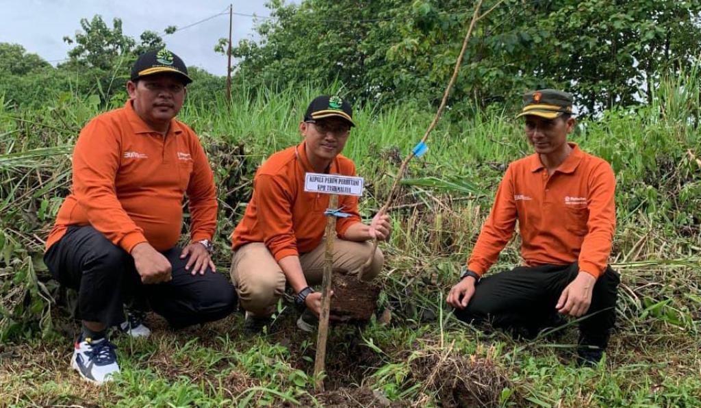 Perhutani KPH Tasikmalaya Tegaskan Komitmen Pengelolaan Hutan Lestari, Terapkan Siklus Lengkap dari Perencanaan hingga Tanam Ulang