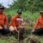 Perhutani KPH Tasikmalaya Tegaskan Komitmen Pengelolaan Hutan Lestari, Terapkan Siklus Lengkap dari Perencanaan hingga Tanam Ulang