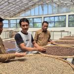 Kopi Gunung Raja Tumbuh di Hutan Sosial dan Jadi Penggerak Ekonomi Masyarakat
