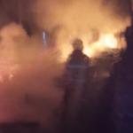 Kandang Ayam Berisi 4.000 Ekor Terbakar di Ciamis, Kerugian Ditaksir Capai Rp100 Juta