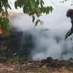Lahan Ilalang Kering di Imbanagara Ciamis Terbakar, Api Diduga Dipicu Pembakaran Sampah