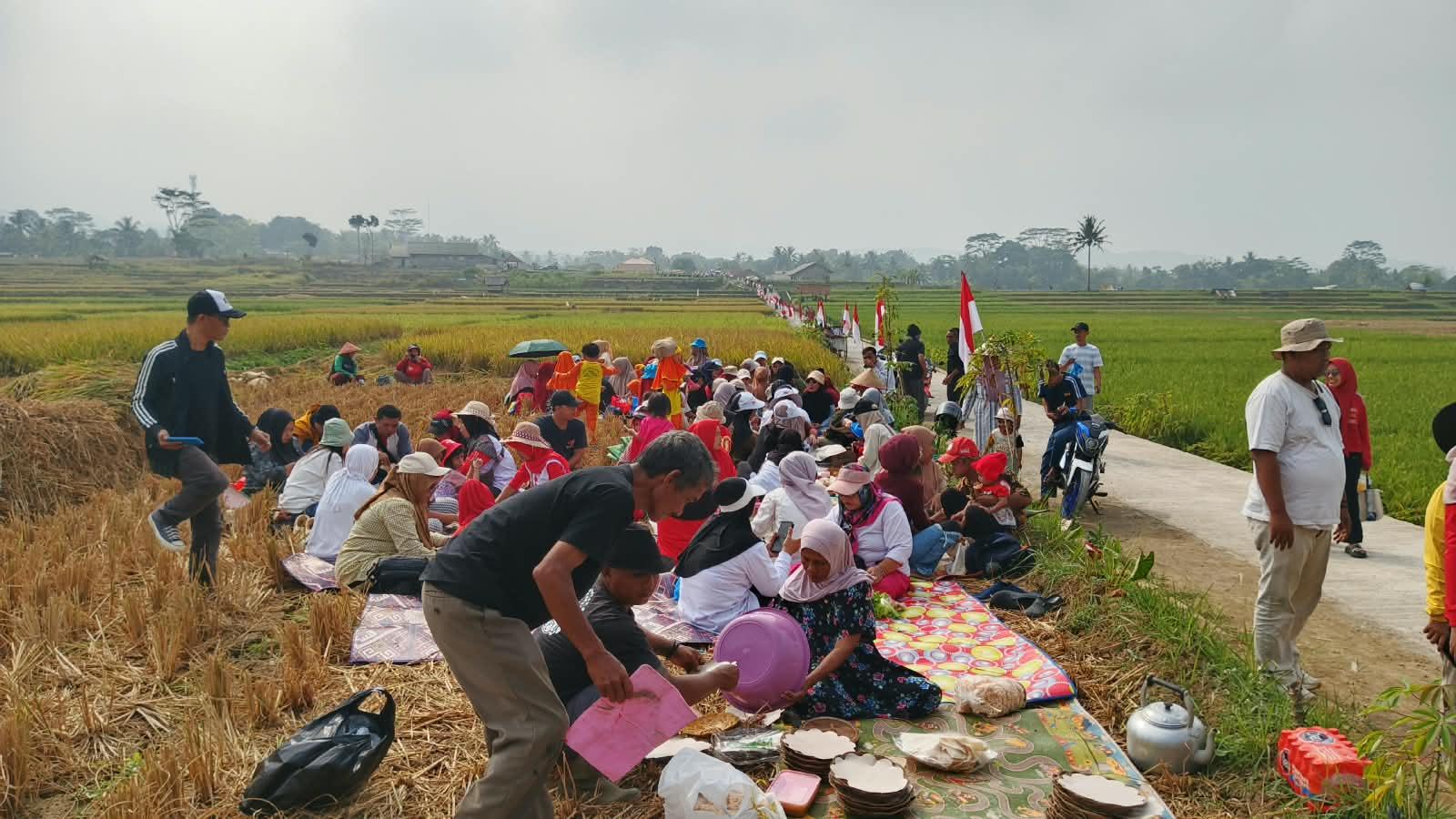Botram Salembur di Tengah Sawah, Ribuan Warga Desa Cijulang Ciamis Perkuat Gotong Royong dan Syukuri Hasil Pertanian