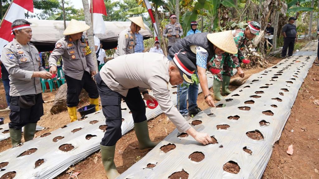 Kapolres Tasikmalaya Kota Ikut Tanam Bawang Putih Serentak, Dukung Program Swasembada Nasional