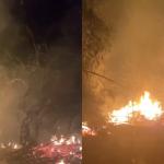 Pabrik Sumpit di Tamansari Tasikmalaya Terbakar