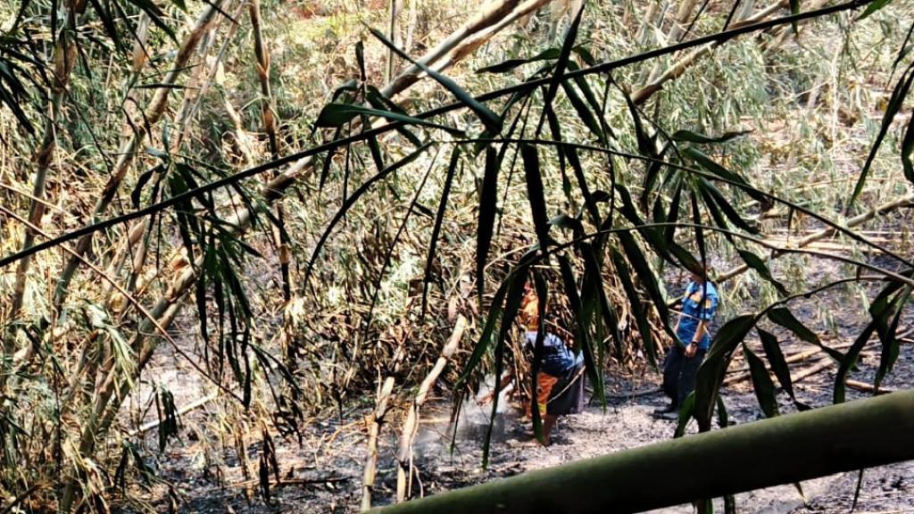 Lahan Seluas 1.000 Meter Persegi di Rajadesa Ciamis Terbakar, Damkar Pos WMK Rancah Padamkan Api dalam 10 Menit