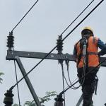 PLN Tasikmalaya Perkuat Keandalan Listrik di Ciamis Lewat Pemeliharaan Jaringan Payung Geulis