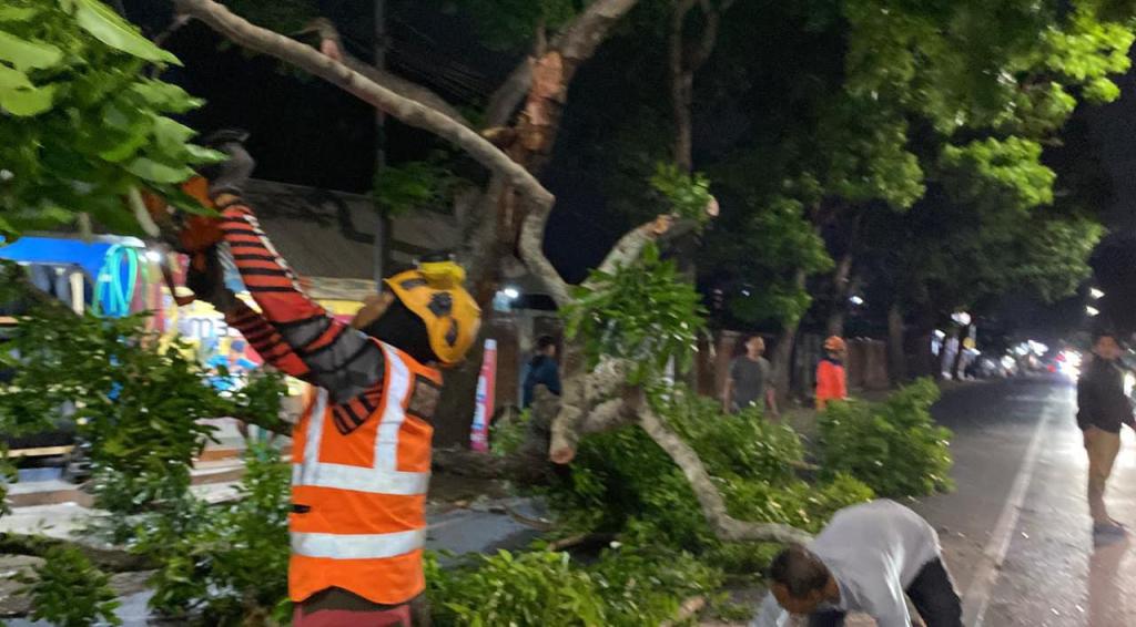 Dahan Pohon Patah Tutupi Jalan di Tundagan, BPBD Kota Tasikmalaya Bergerak Cepat Lakukan Evakuasi