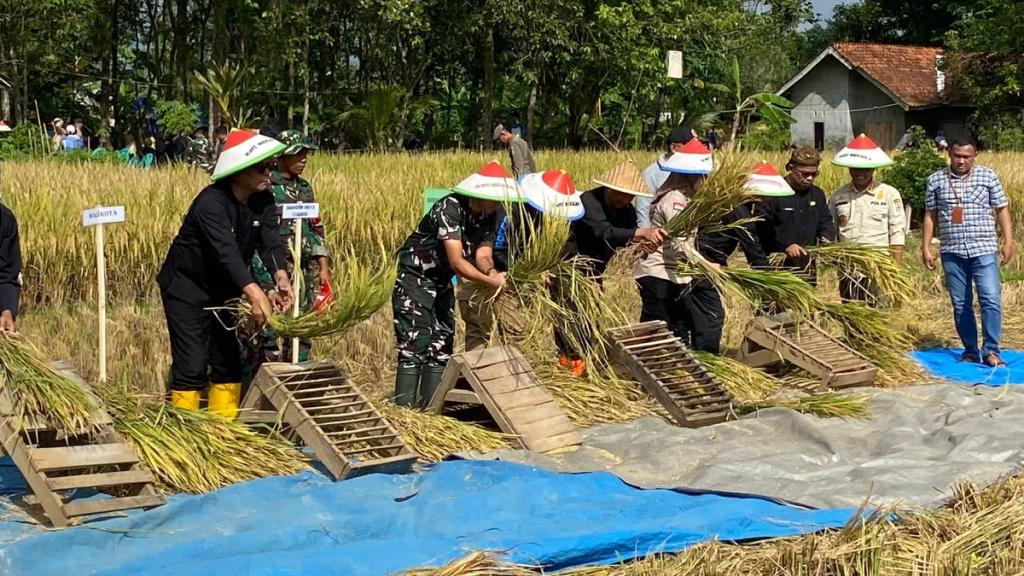 BULOG Cetak Rekor Baru, Pengadaan Beras Tembus 4,1 Juta Ton! Priangan Timur Serap 140 Ribu Ton Gabah