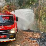 Kebakaran Lahan Ampah Jati di Pamarican Ciamis Capai Satu Hektare