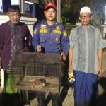 Sempat Tercium Bau Pesing, Damkar Ciamis Evakuasi Kukang di Atap Rumah Warga Sindangrasa