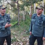Jaga 43 Ribu Hektare Hutan KPH Tasikmalaya, Empat Personel Polhutmob Tetap Siaga Perkuat Sinergi