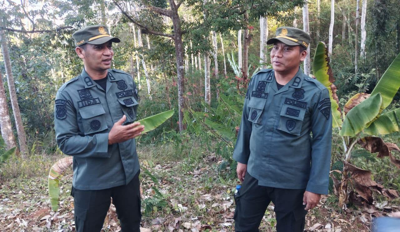 Jaga 43 Ribu Hektare Hutan KPH Tasikmalaya, Empat Personel Polhutmob Tetap Siaga Perkuat Sinergi