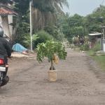 Wali Kota Banjar Tanggapi Sindiran Warga Soal Jalan Rusak "Tak Berdaya"