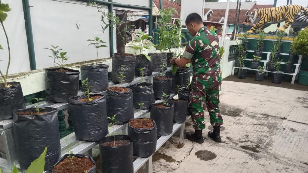 Koramil 1220/Cikalong Perkuat Ketahanan Pangan dengan Warung Hidup dan Apotek Hidup