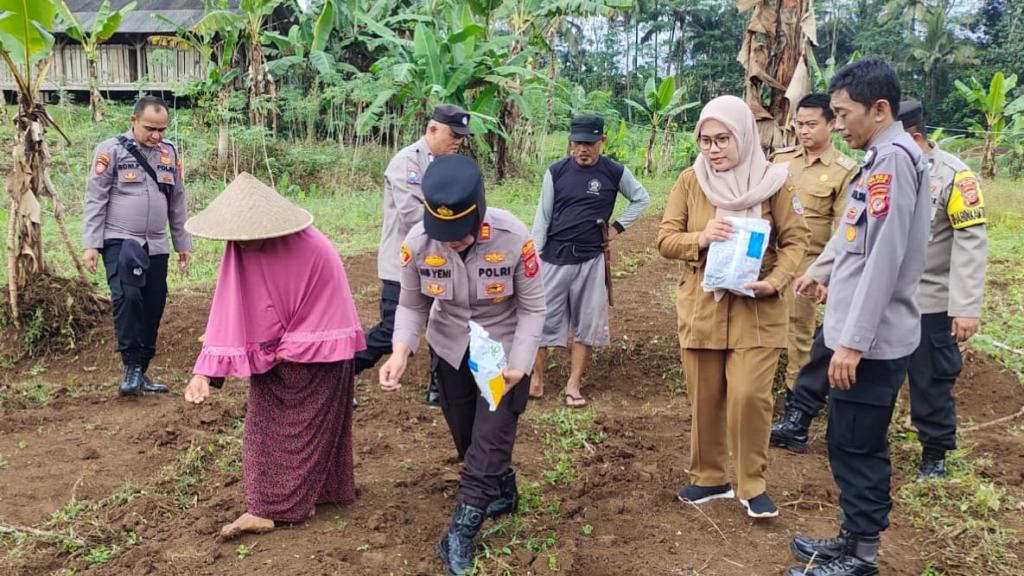 Langkah Nyata Dukung Swasembada, Polsek Kawali dan Petani Tanam Jagung di Kawalimukti