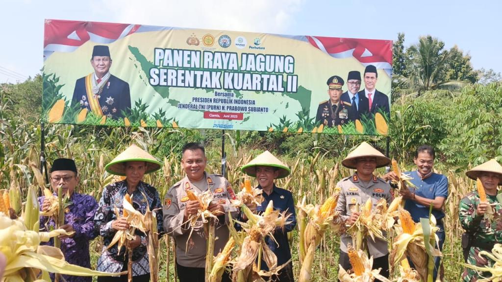 Manfaatkan Lahan Tidur, Petani dan Polres Ciamis Gelar Panen Raya Jagung Kuartal II