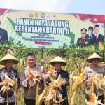 Manfaatkan Lahan Tidur, Petani dan Polres Ciamis Gelar Panen Raya Jagung Kuartal II