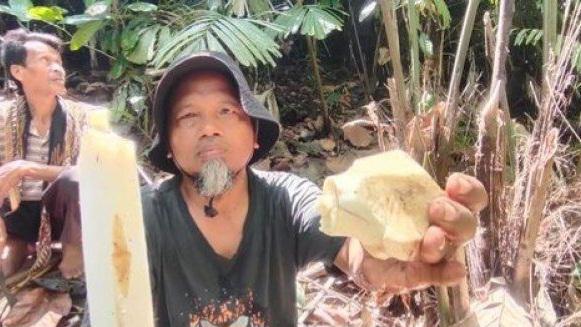 Mengenal Umbut Langkap: Makanan Tradisional Khas Kampung Siluman, Kota Banjar