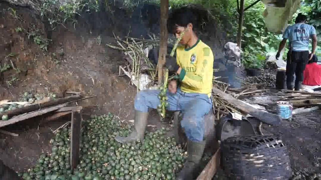 Mengintip Proses Pembuatan Kolang-Kaling di Desa Deudeul Tasikmalaya