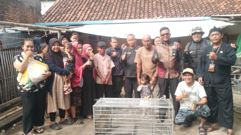 Monyet Ekor Panjang Resahkan Warga Cipedes, Penanganan Dilakukan Berbasis Konservasi oleh CDK Wilayah VI Kota Tasikmalaya dan BKSDA Ciamis