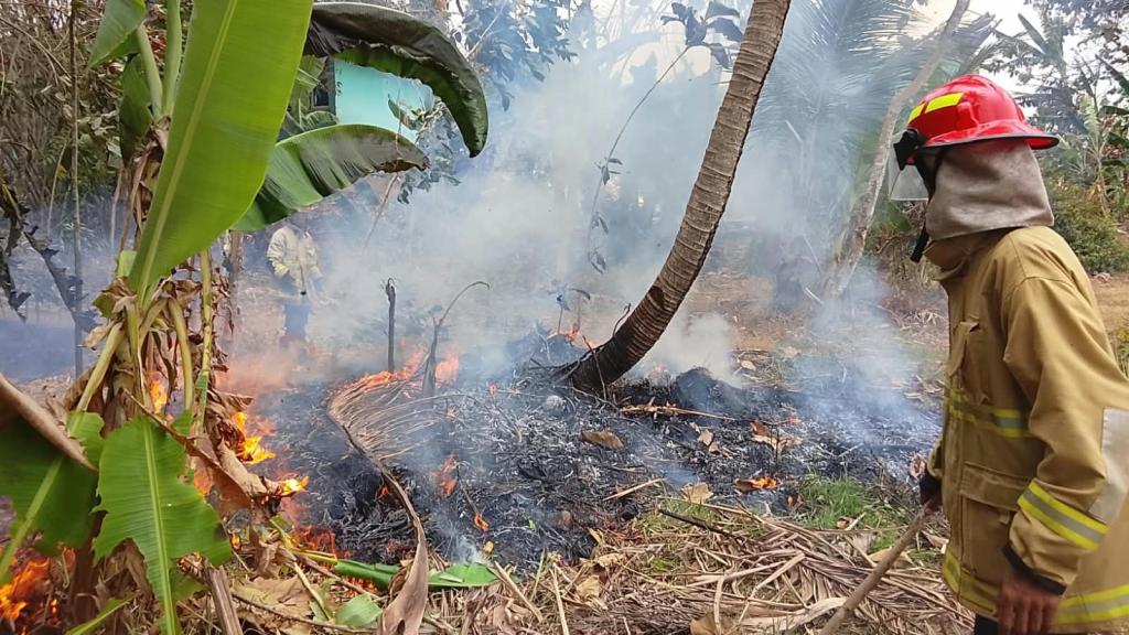 Nyaris Merembet ke Bangunan SMPN 2 Banjarsari, Lahan Kebun di Cicapar Ciamis Terbakar Diduga Akibat Sampah