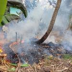 Nyaris Merembet ke Bangunan SMPN 2 Banjarsari, Lahan Kebun di Cicapar Ciamis Terbakar Diduga Akibat Sampah