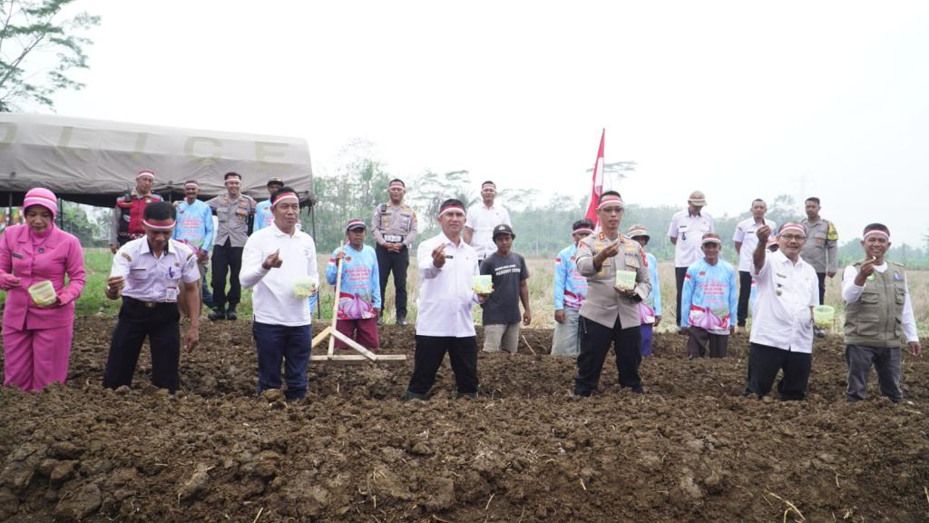 Perkuat Ketahanan Pangan, Polres Banjar dan Kelompok Tani Tanam 200 Kg Bibit Bawang Putih di Binangun