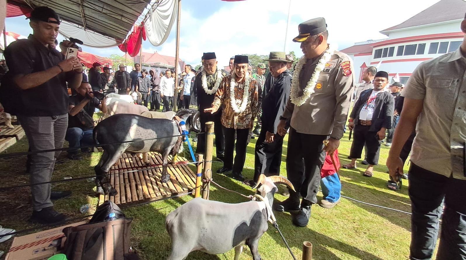 Pesta Patok Domba-Kambing 2025 Kembali Digelar, 419 Ekor Ikut Berkompetisi di Tasikmalaya