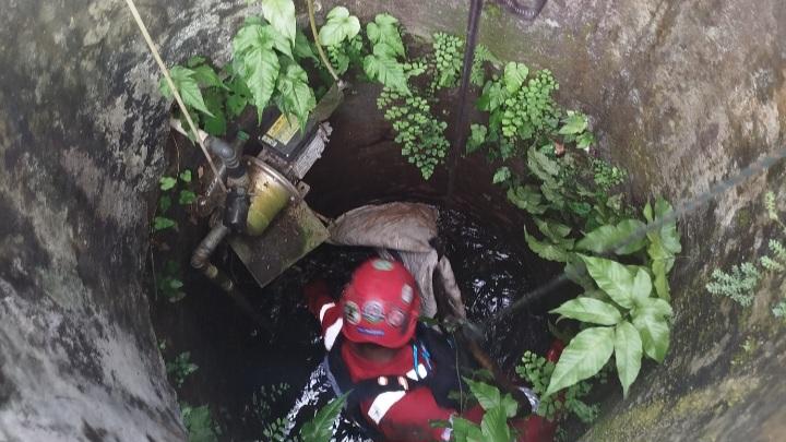 Petugas Damkar Ciamis Evakuasi Bangkai Kucing dari Dalam Sumur Warga