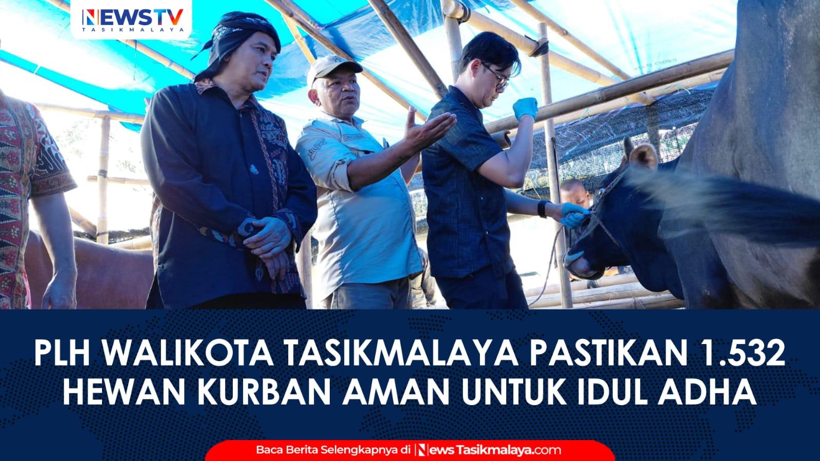 VIDEO: Pimpin Sidak Lapak Kurban di Jalan Letnan Harun, Plh Wali Kota Tasikmalaya Pastikan 1.532 Hewan Aman Jelang Iduladha