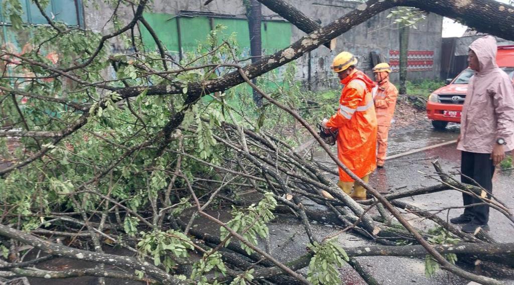 Pohon Tumbang hingga Rumah Roboh, Kota Tasikmalaya Kembali Dilanda Cuaca Ekstrem