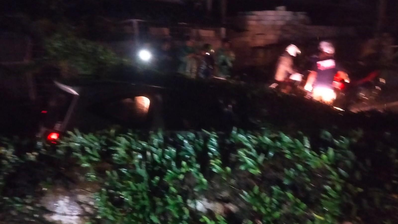 Pohon Tumbang Timpa Mobil di Cisayong Tasikmalaya, Sopir Tewas Terjepit