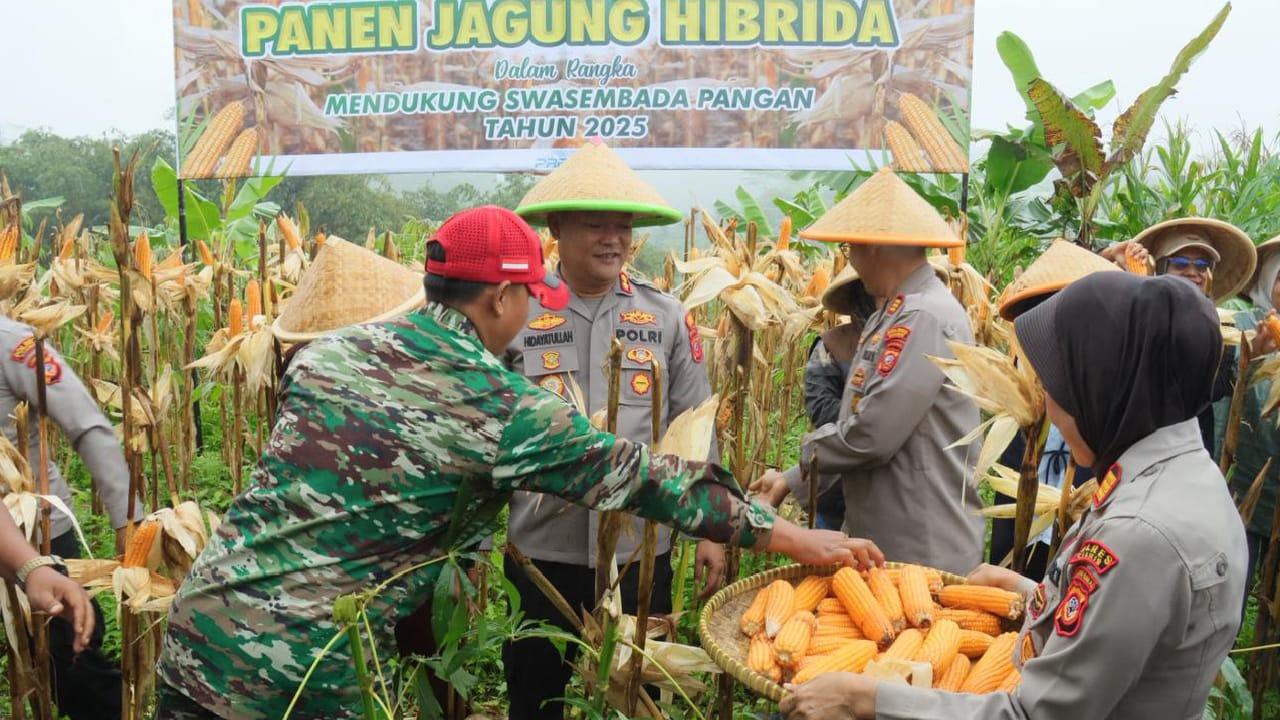 Polres Ciamis Gandeng PKK dan Bhayangkari Panen Raya Jagung, Perkuat Sinergi Ketahanan Pangan