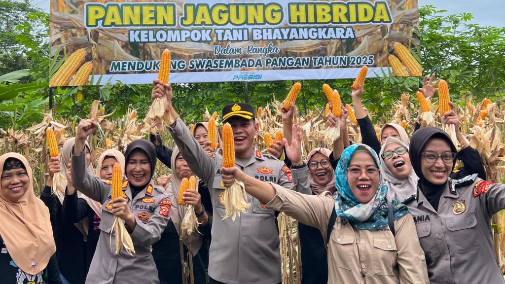 Polres Ciamis Panen Raya Jagung, Dukung Swasembada Pangan