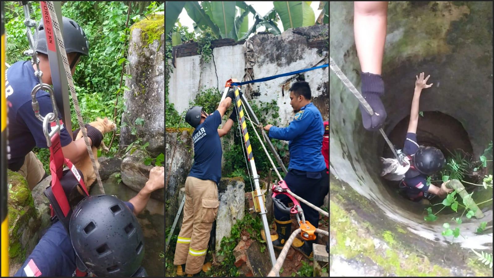 Si Beyon Kembali ke Pangkuan Alya Berkat Damkar Kota Tasikmalaya, Ditemukan di Sumur setelah Dua Minggu Hilang