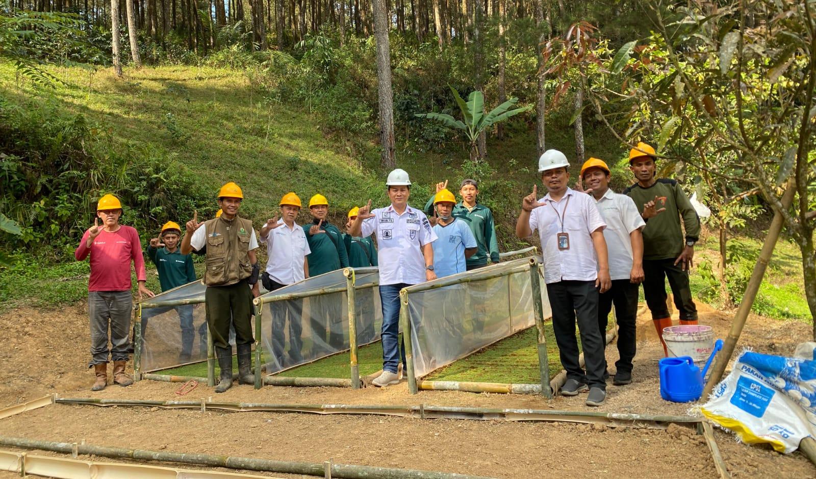 Siapkan Musim Tanam 2026, Perhutani KPH Tasikmalaya Bersama Masyarakat Lakukan Tabur Benih Pinus di Sodonghilir