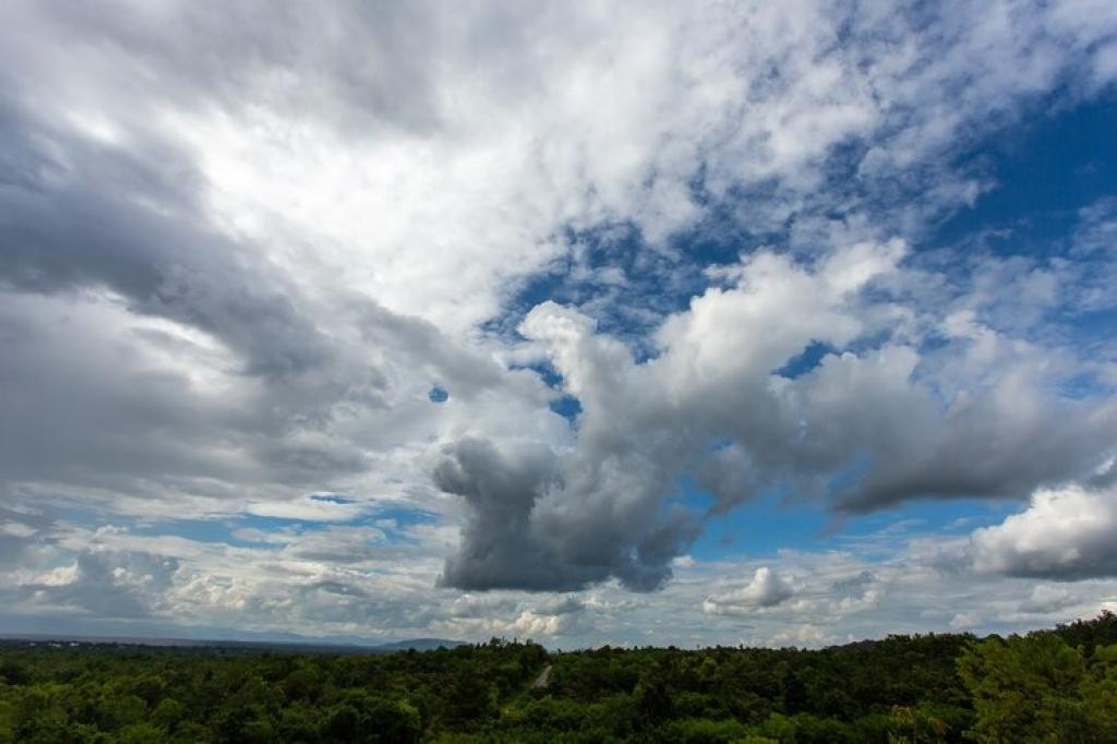 Prakiraan Cuaca Kota Tasikmalaya Hari Ini Senin 25 November 2024, Siang Hari Berawan Tebal