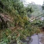 Tebing Longsor Tutup Jalan Raya Garut-Tasikmalaya, Arus Lalin Terputus