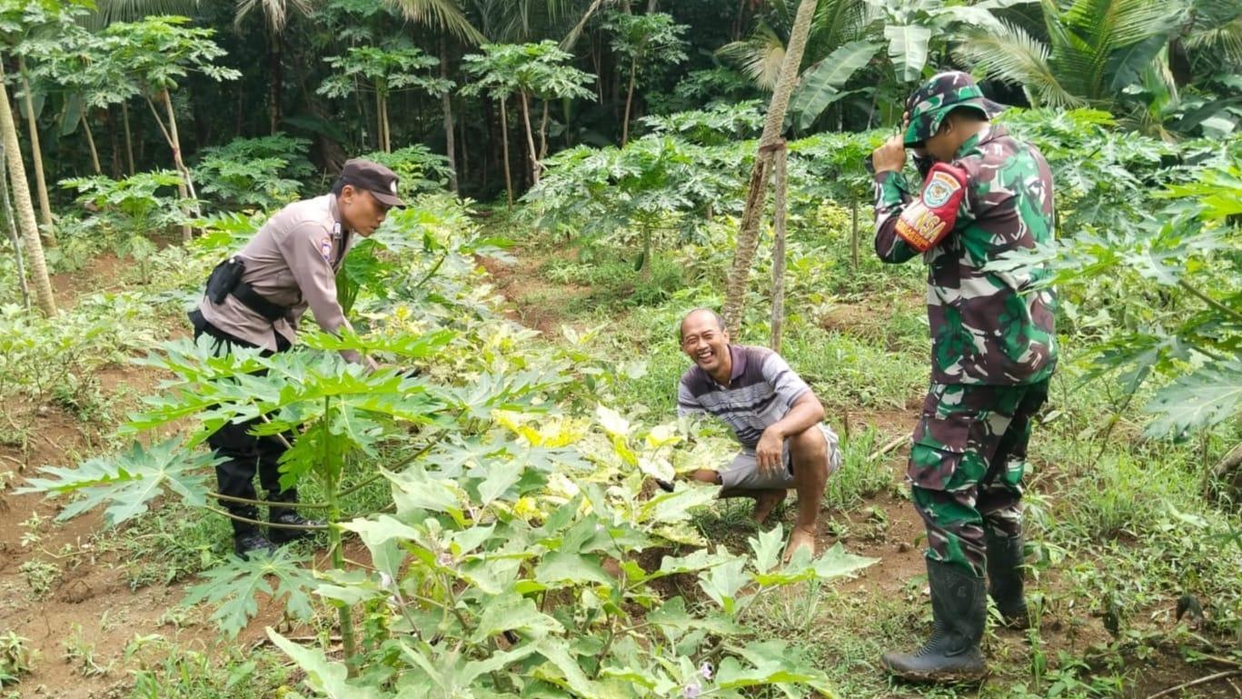 TNI-Polri Ajak Warga Bantardawa Ciamis Jaga Kondusivitas dan Ketahanan Pangan Pasca Pilkada