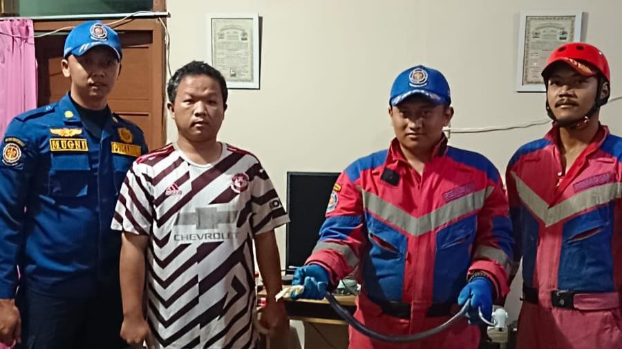 Warga Kawali Ciamis Kaget, Ular Kobra Masuk Rumah saat Nonton TV