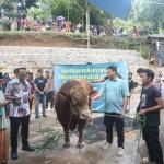 Warga Tamansari Tasikmalaya Dapat Bantuan Sapi Kurban dari Presiden Prabowo