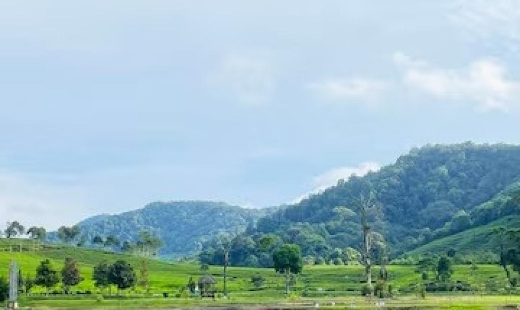 Prakiraan Cuaca Kota Banjar Hari Ini Senin 29 Juli 2024, Siang Hari Cerah Berawan