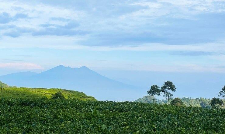 Prakiraan Cuaca Kota Banjar Hari Ini Sabtu 3 Agustus 2024, Sepanjang Hari Cerah Berawan