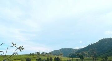 Prakiraan Cuaca Kabupaten Tasikmalaya Hari Ini Senin 5 Agustus 2024, Pagi hingga Siang Hari Cerah Berawan