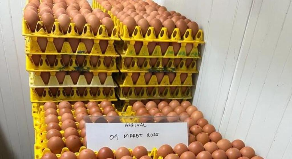 WMU Siap Jadi Produsen Telur Cage-Free Terbesar di Asia Tenggara, Targetkan Kapasitas 500 Ribu Ekor pada 2027